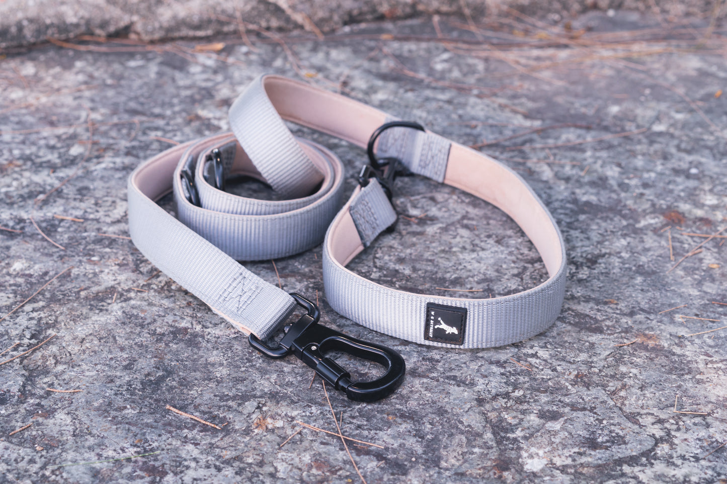 Take Me Anywhere Leash